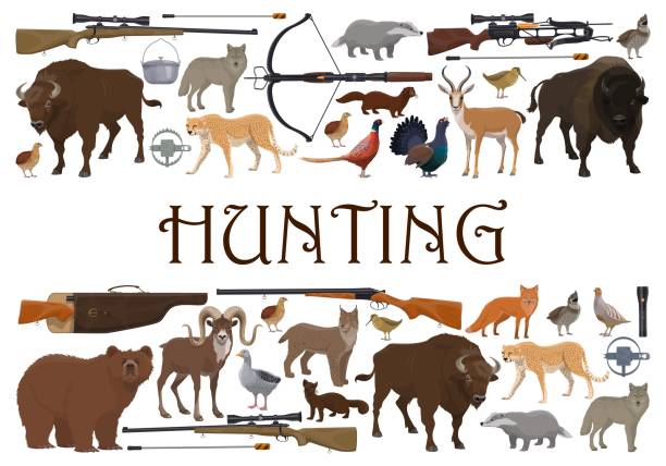 사냥, 동물 과 소총 총, 사파리 사냥 스포츠 - domestic pig animals in the wild wild boar hunting stock illustrations