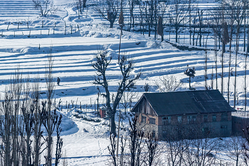 Snow-filled farm villages on the way from Srinagar to Sonmarg, kashmir, India.