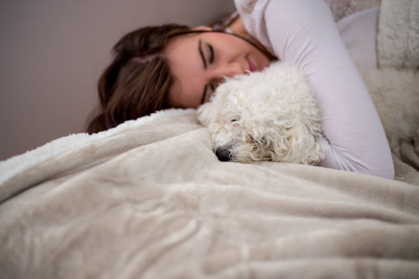 istock Young woman lying in bed in the evening and enjoying while having a cuddle with her adorable puppy she is holding. 1324057249