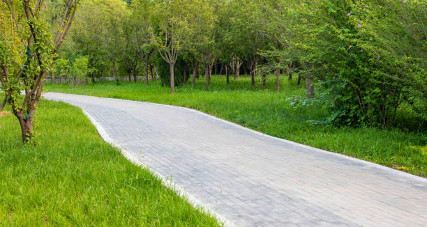 istock Winding path through trees in urban natural park 1324057363