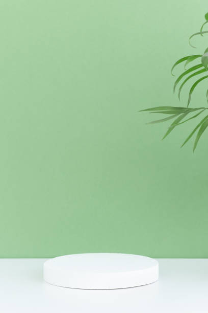 istock Pedestal podium on a white table, green background with palm tree leaves 1324060859