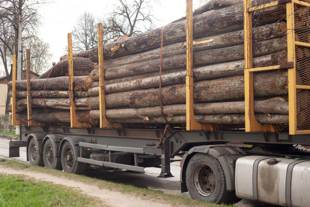 auf einer großen spezialmaschine liegen stämme unterschiedlicher dicke. das gerüst steht am straßenrand - lumber industry timber truck forklift stock-fotos und bilder