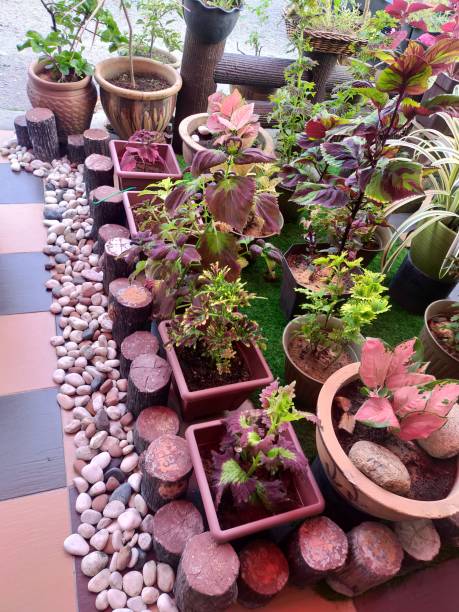 istock a good dose of greenery at home 1324066752