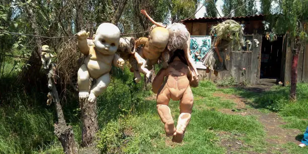 "Canales de Xochimilco" "Alcaldia de Xochimilco" "Isla de las muñecas" View and detail of the island of the dolls, where we can see several dolls that adorn the surroundings of the island taking care of it from the spirits that, according to legend, inhabit it .