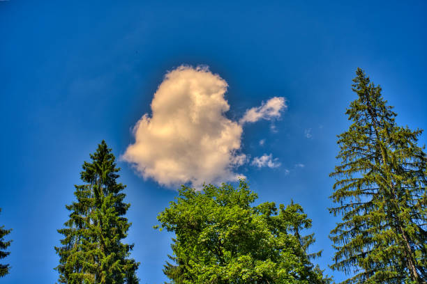 blue sky with clouds