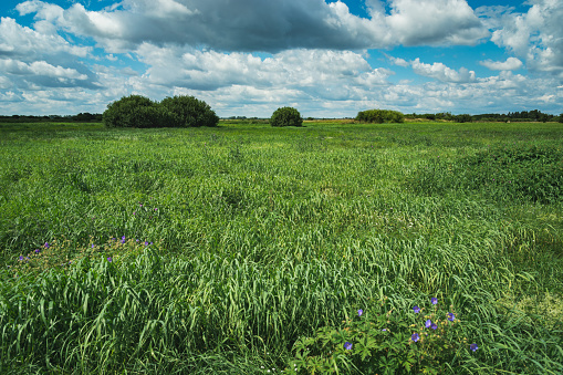 Pitstone hill Farmland Agricultural Field Buckinghamshire, UK