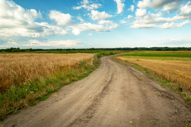 istock Sandy road through farmland and clouds to the sky 1324078938