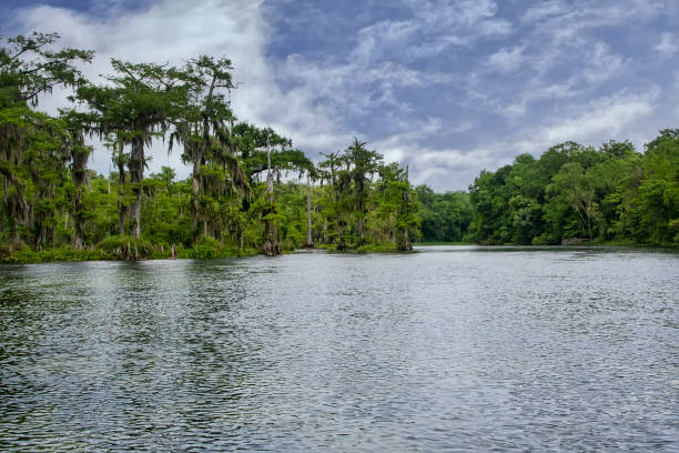 istock Wakulla Springs State Park in Florida 1324079026