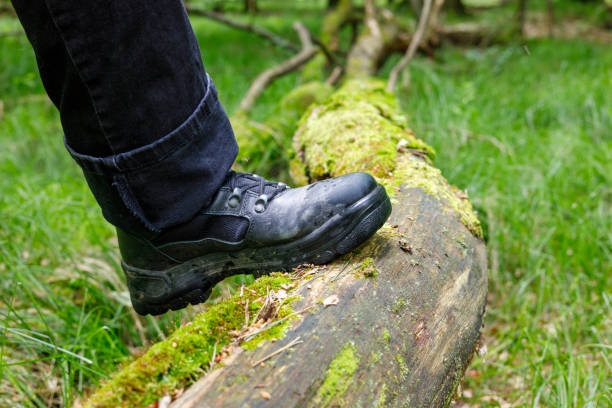istock Leg in a trekking shoe on a fallen mossy tree, Active rest concept 1324081191