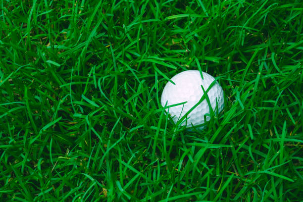 istock Green grass with golf ball close-up in soft focus at sunlight 1324081396