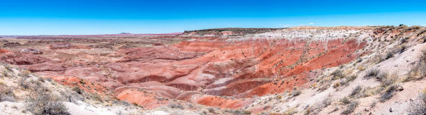 istock Painted Desert National Park in Arizona 1324083699
