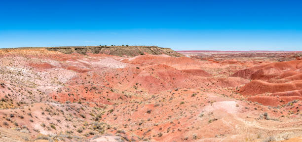 istock Painted Desert National Park in Arizona 1324083731