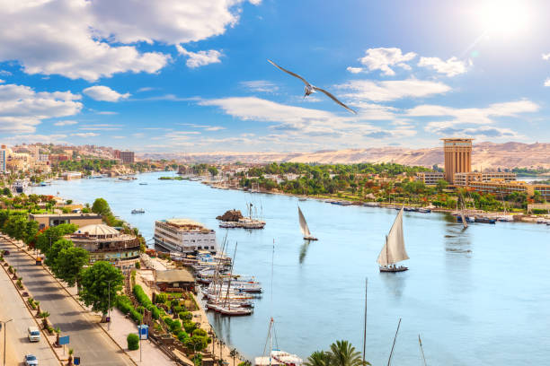 istock Aswan downtown, panoramic view on the Nile, Egypt 1324084306