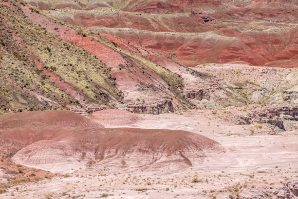 istock Painted Desert National Park in Arizona 1324084338
