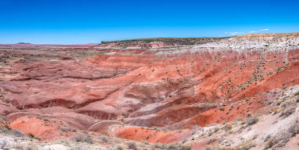 istock Painted Desert National Park in Arizona 1324084363