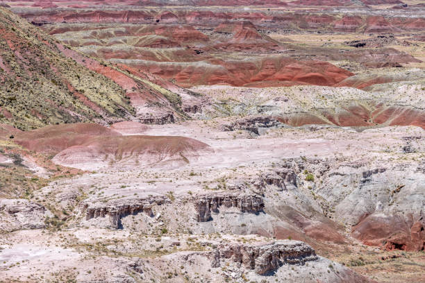 istock Painted Desert National Park in Arizona 1324084516