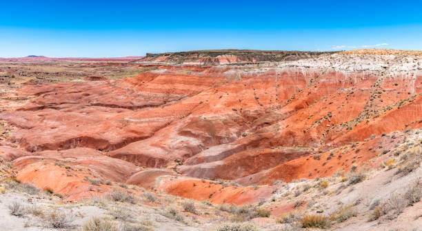 istock Painted Desert National Park in Arizona 1324084599
