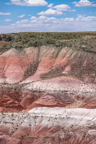 istock Painted Desert National Park in Arizona 1324084664