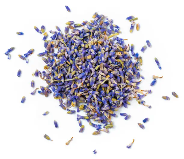 A pile of lavender buds seen from above. 
Isolated on a white background.