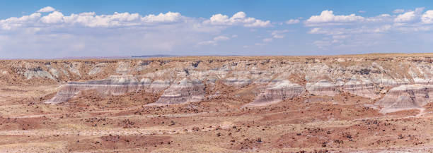 istock Painted Desert National Park in Arizona 1324085320