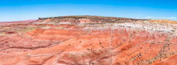 istock Painted Desert National Park in Arizona 1324085443