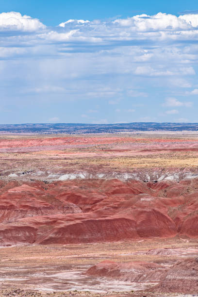 istock Painted Desert National Park in Arizona 1324085509