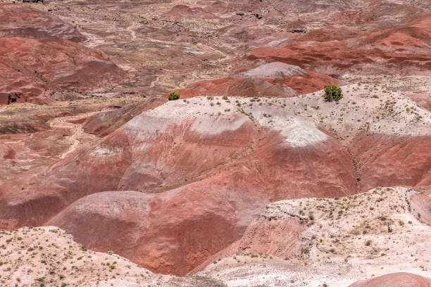 istock Painted Desert National Park in Arizona 1324085565