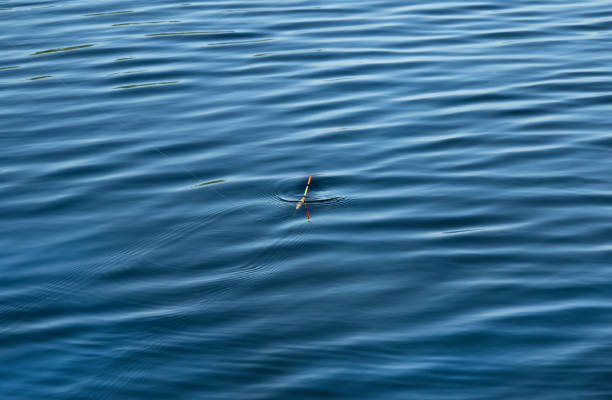 istock de focused water surface background with  fishing float.Concept of tranquility 1324088034