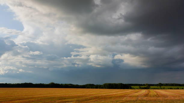istock Harvested field and deciduous forest and stormy sky, panoramic landscape. 1324094429