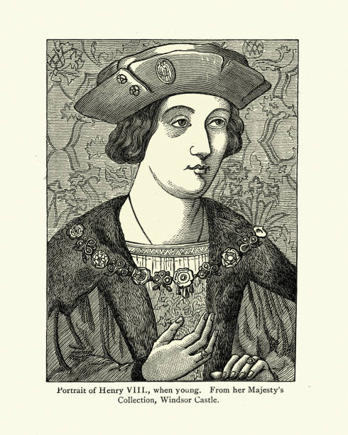 ilustrações de stock, clip art, desenhos animados e ícones de portrait of king henry viii as a young man, tudor history - henry viii tudor style king nobility