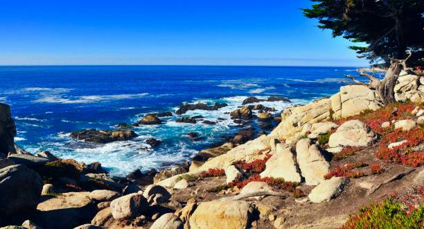 istock Northern California Coastline 1324102247