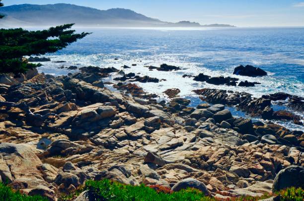istock Northern California Coastline 1324102422