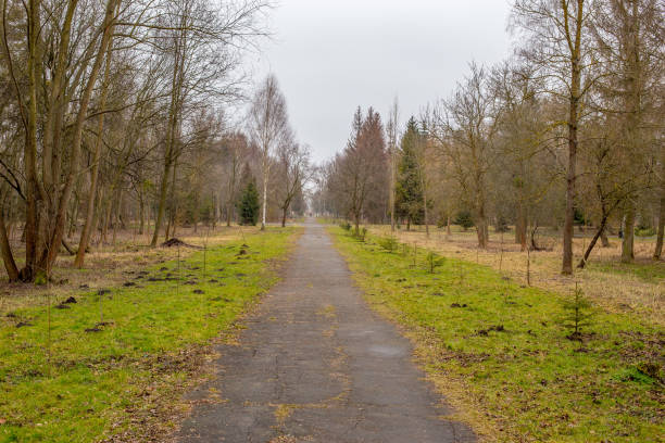 istock Lutsk Public Central park in 2013. Retro soviet legacy photo. Those views changed dramatically now. 1324102423