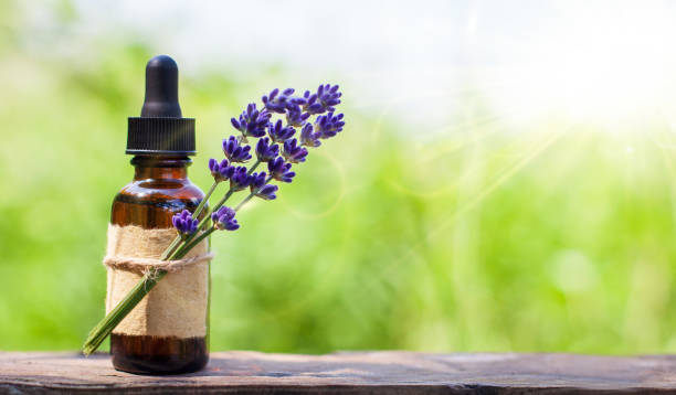 istock Lavender herbal oil and flowers, space for text. 1324104733