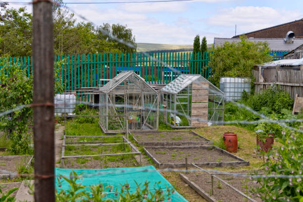 istock English allotments 1324105440