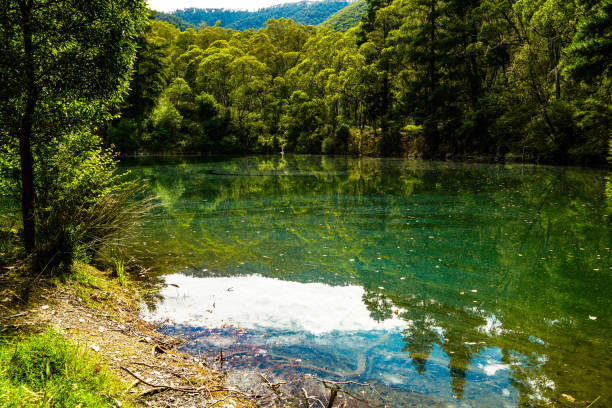 istock Harrietville, Victoria, Australia 1324113423