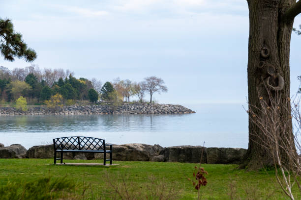 istock Bench Overlooking a Lake on a Cloudy Day 1324117798