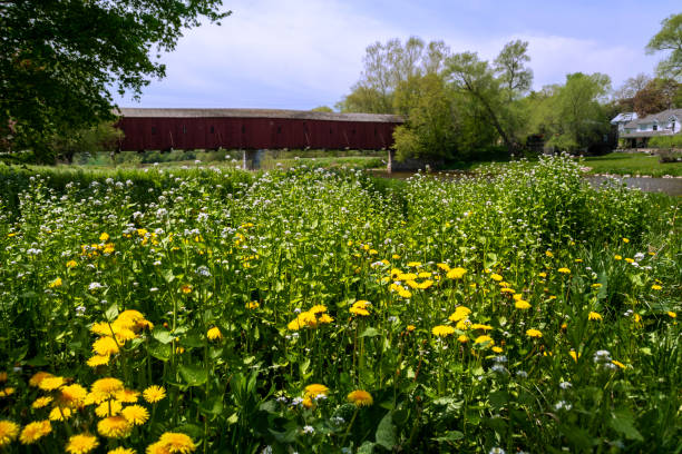 West Montrose Covered Bridge in Ontario