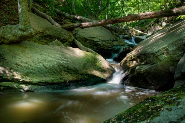 A small stream cascades down through some large rocks and into a pool of water in the middle of a forest in Hamilton, Ontario.