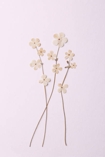 istock Dried flower greeting card 1324119824