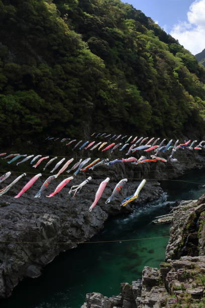 istock Carp streamer swimming in Oboke Gorge(Miyoshi City, Tokushima Prefecture) 1324122347