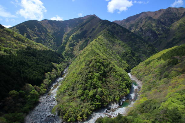 istock Iya Valley,Hinoji Valley,Fresh green (Miyoshi City, Tokushima Prefecture) 1324122872