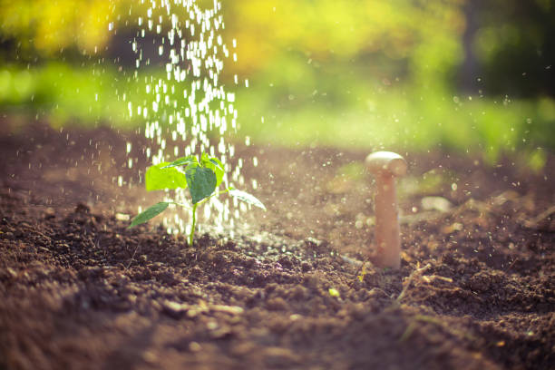 istock Happy life under the Sun 1324123203