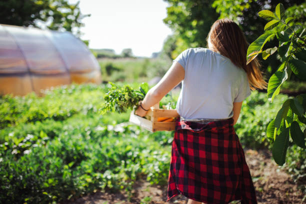 istock Grow, harvest, enjoy 1324124372