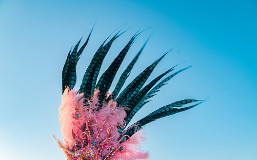 Samba feathers on blue sky background