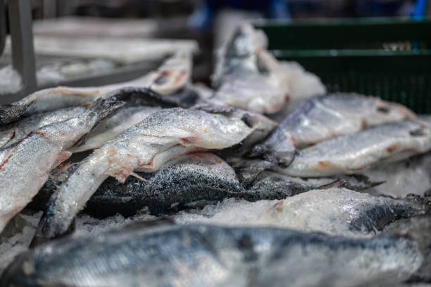 istock Frozen trout and salmon carcasses 1324140263