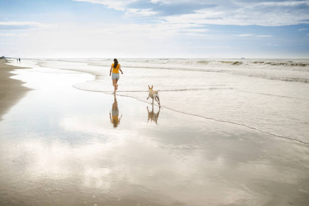 istock Woman running at the beach with her dog 1324143588