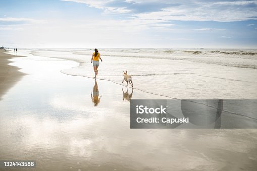 istock Woman running at the beach with her dog 1324143588