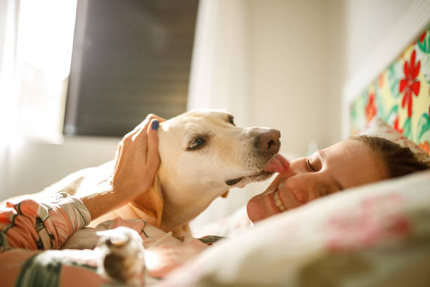 istock Dog kissing its owner in bed 1324143620