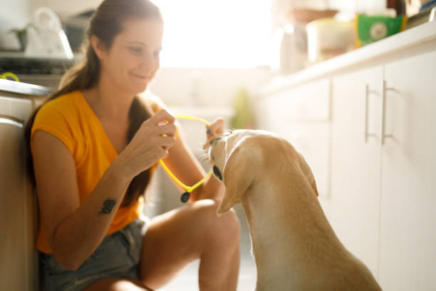 istock Woman putting a ID collar on her dog 1324143623